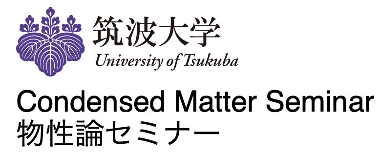 Hidenori Fukaya will be telling us on dyon & topological insulators